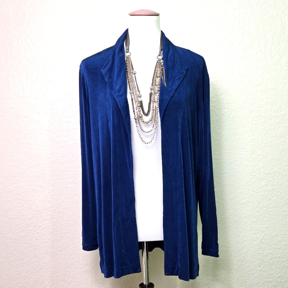 Chico's Women's Blue Ligth Sweater/ cardigan